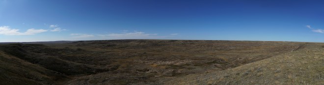 prairie-dog-panorama1